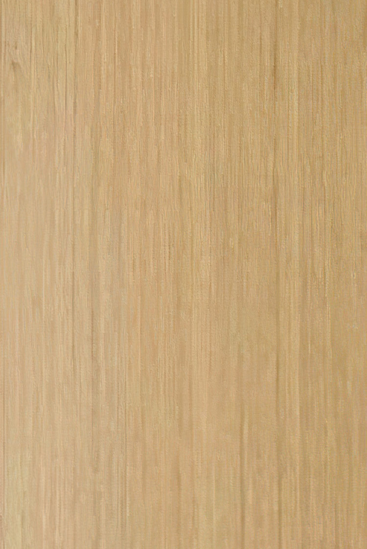 6333銀絲直紋